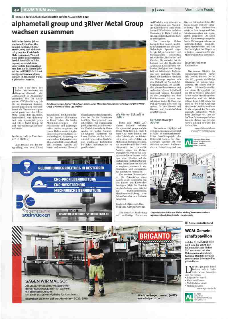 Artikel als PDF